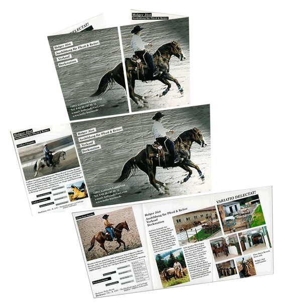 Holger_Joest_web